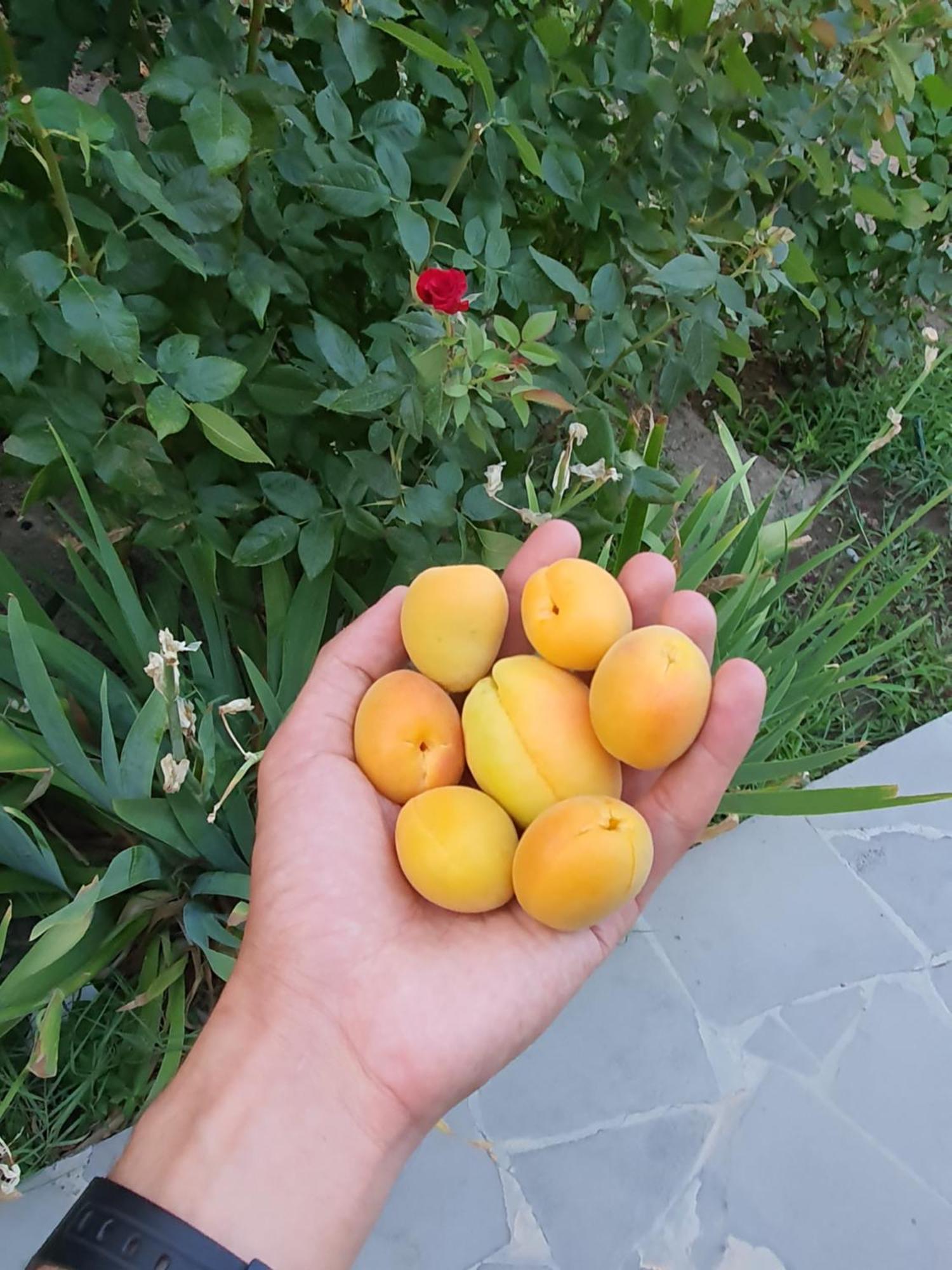 Kesabella Touristic House Bed & Breakfast P'arak'ar Dış mekan fotoğraf